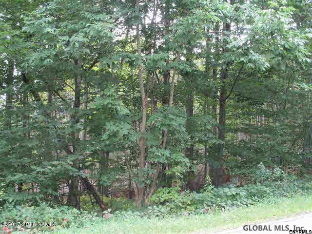 48 Alpine Meadows Road Greenfield, NY 12859 - Photo 1 of 1 Photo 1
