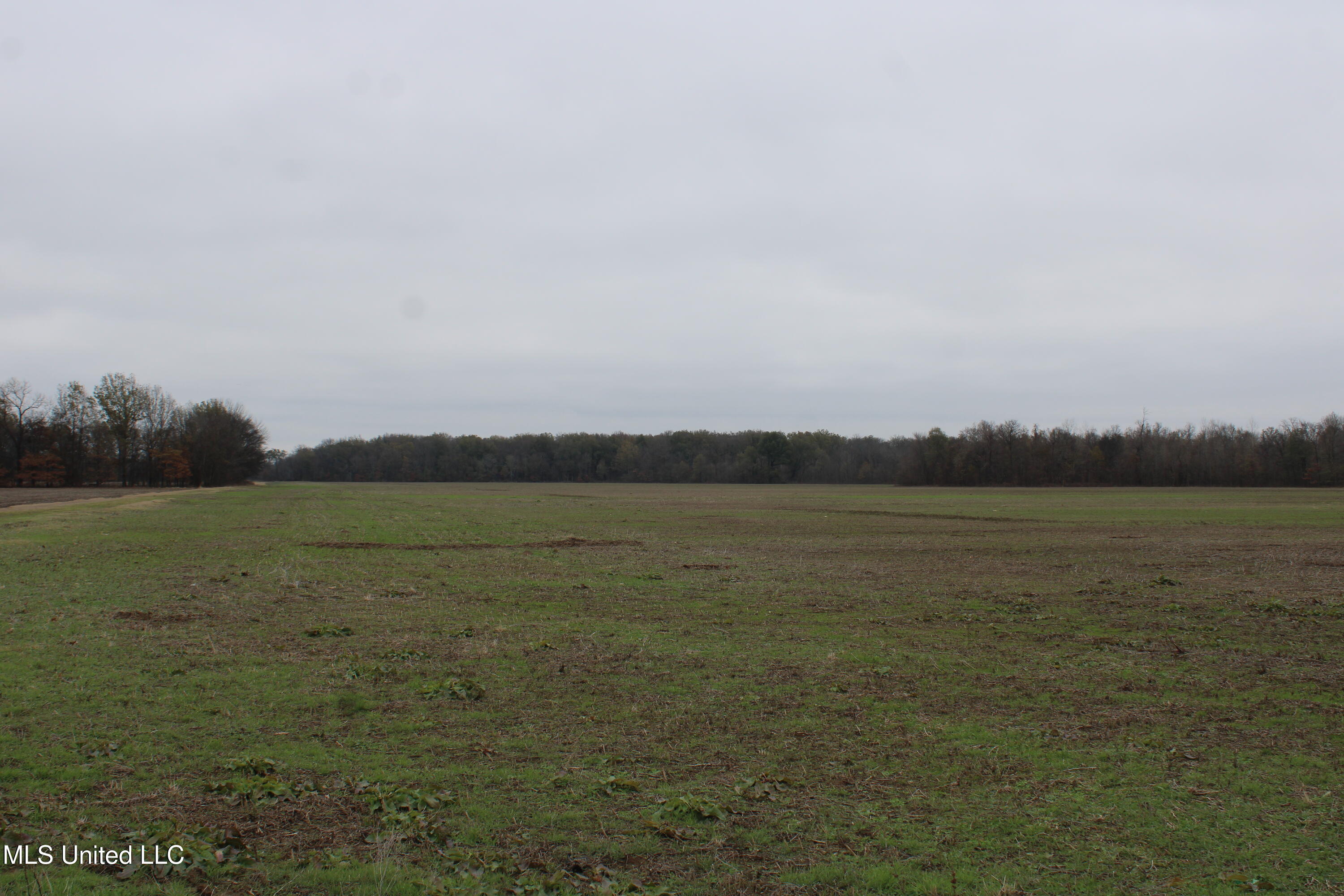 2000 Walnut Lake Road Dundee, MS 38626 - Photo 25 of 34 IMG_6990