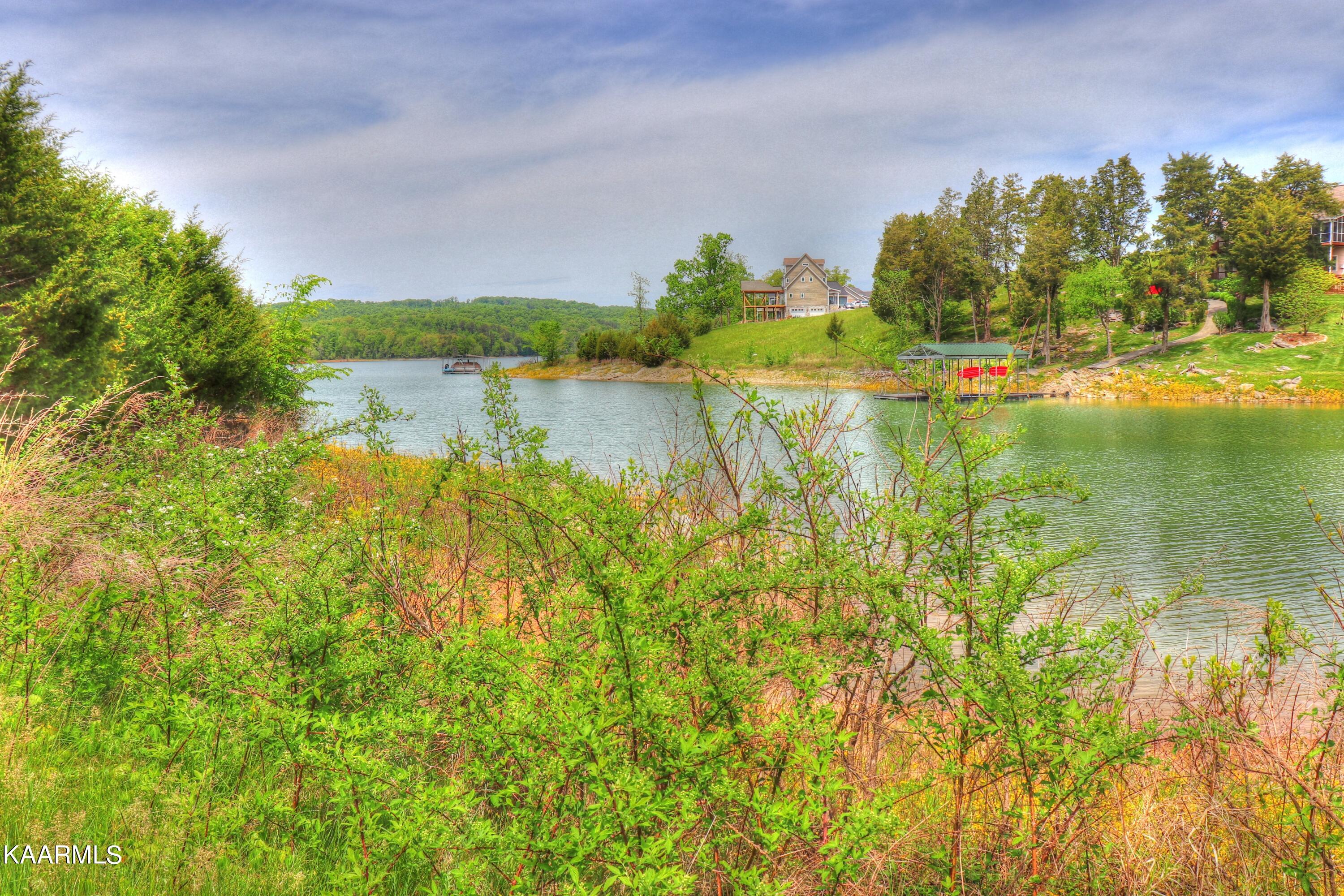 Lot 230 Ruth Circle Sharps Chapel, TN 37866 - Photo 11 of 39 actual shoreline