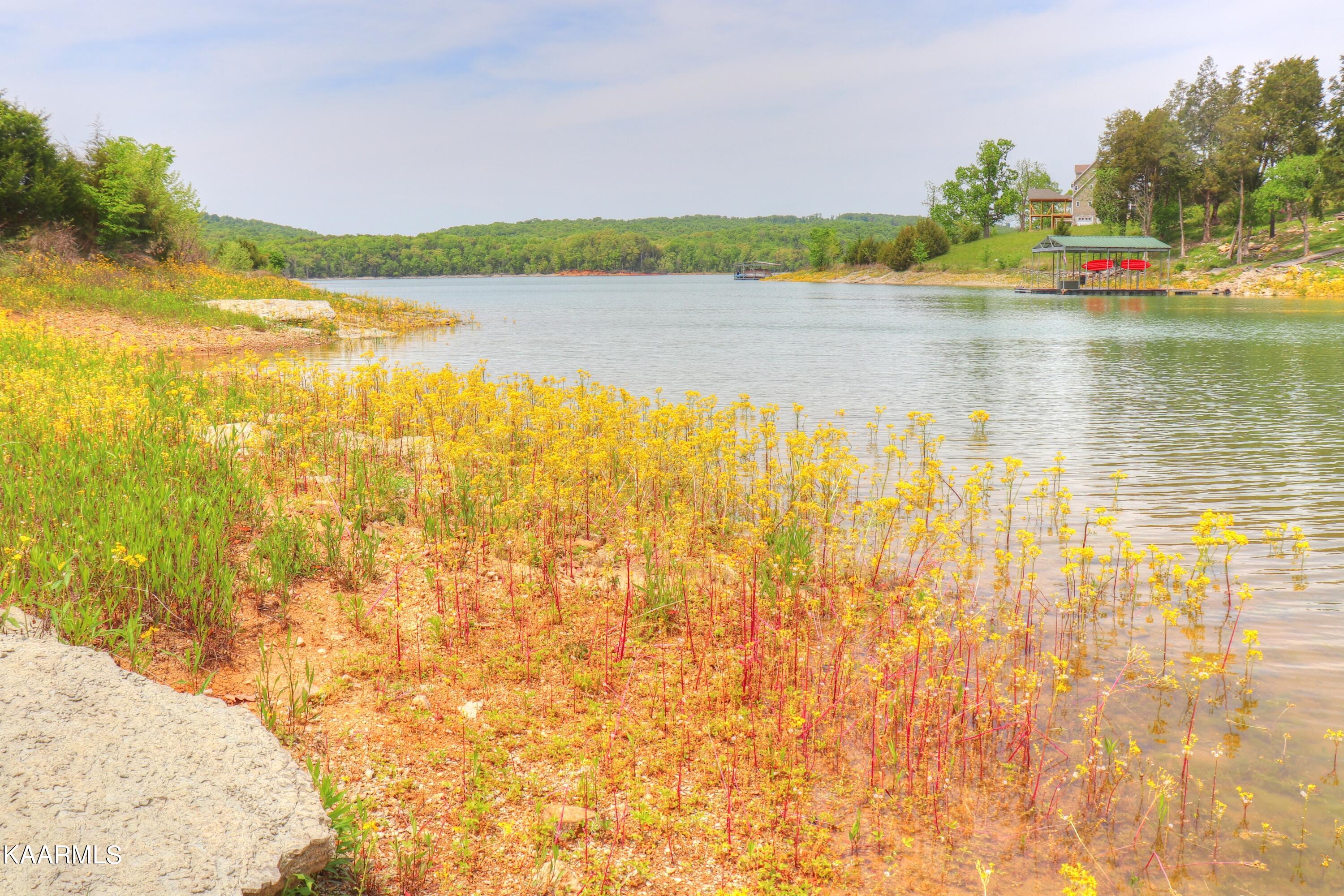 Lot 230 Ruth Circle Sharps Chapel, TN 37866 - Photo 12 of 39 Shoreline