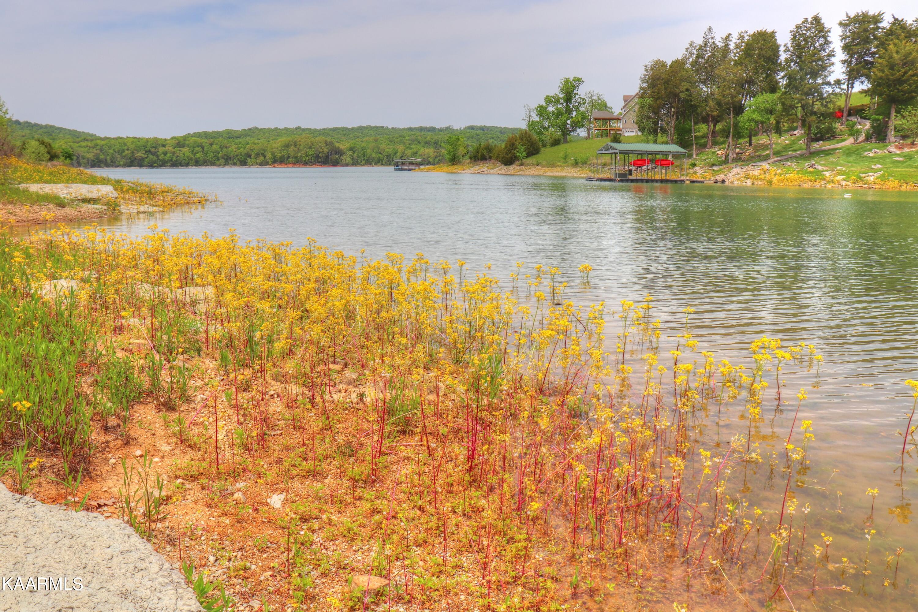 Lot 230 Ruth Circle Sharps Chapel, TN 37866 - Photo 13 of 39 Shoreline