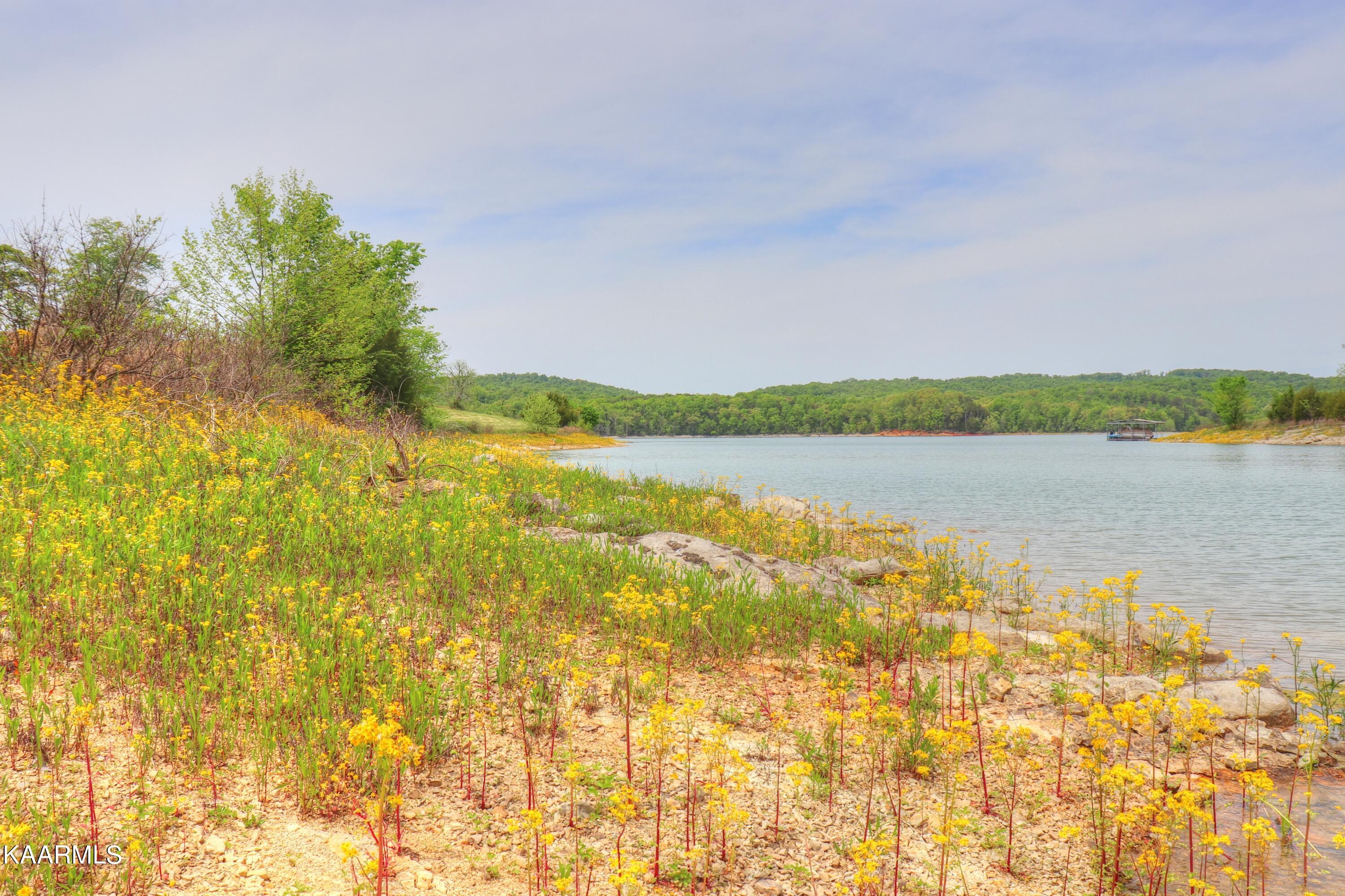 Lot 230 Ruth Circle Sharps Chapel, TN 37866 - Photo 14 of 39 Lake views