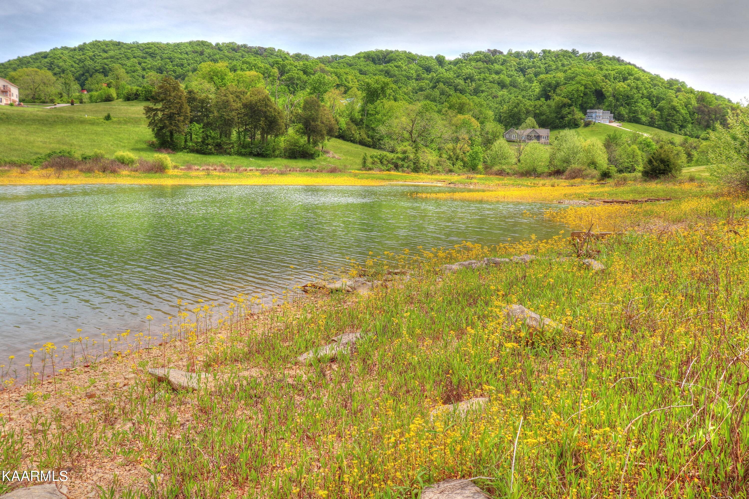 Lot 230 Ruth Circle Sharps Chapel, TN 37866 - Photo 15 of 39 Lot 230 Ruth Circle