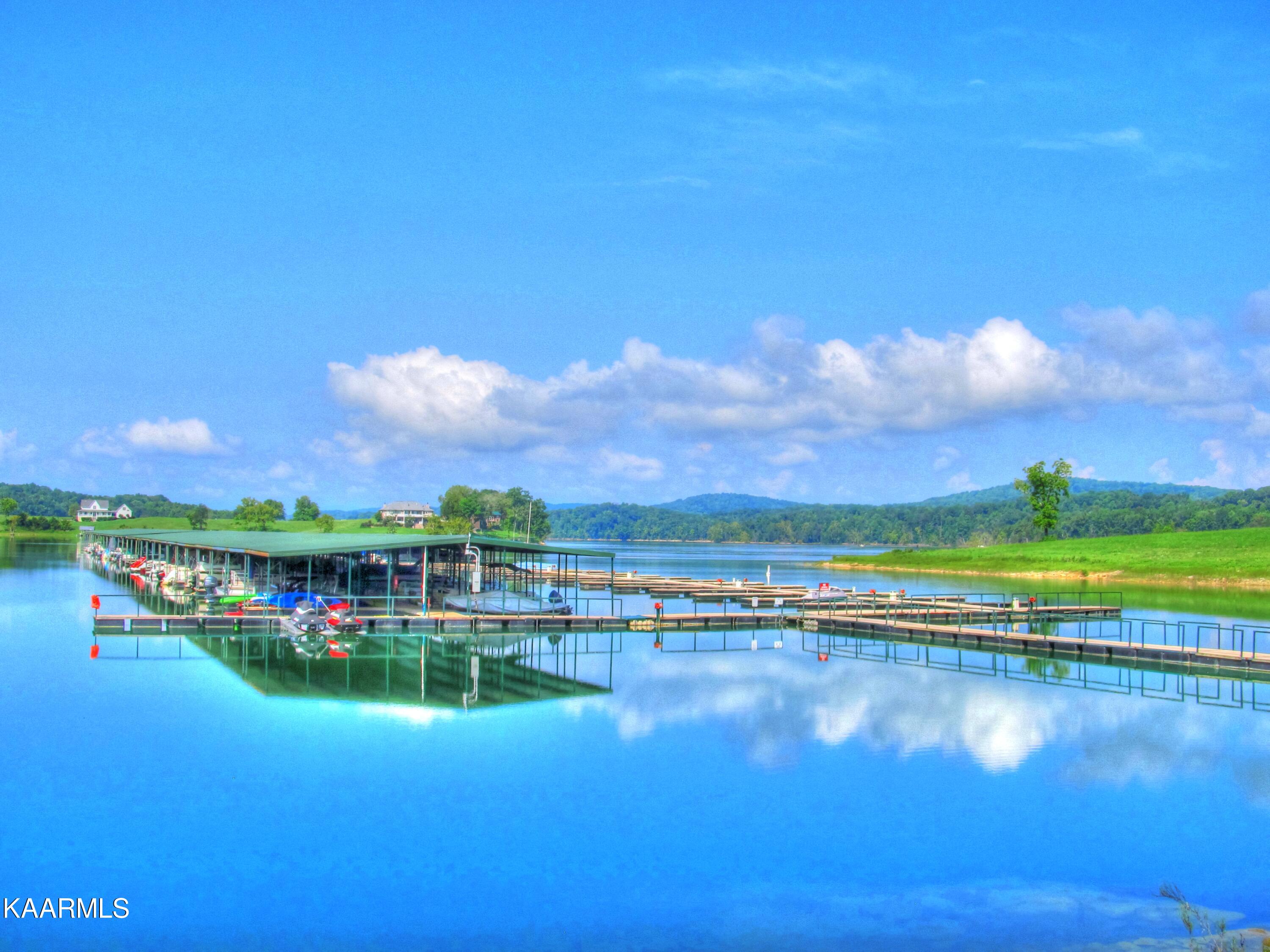 Lot 230 Ruth Circle Sharps Chapel, TN 37866 - Photo 38 of 39 Community marina