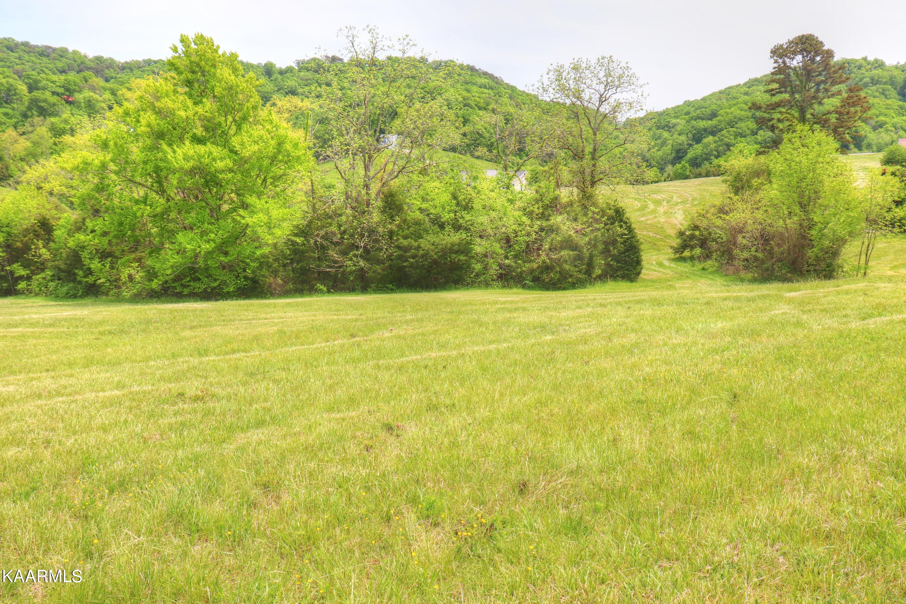 Lot 230 Ruth Circle Sharps Chapel, TN 37866 - Photo 8 of 39 Lot 230 Ruth Circle