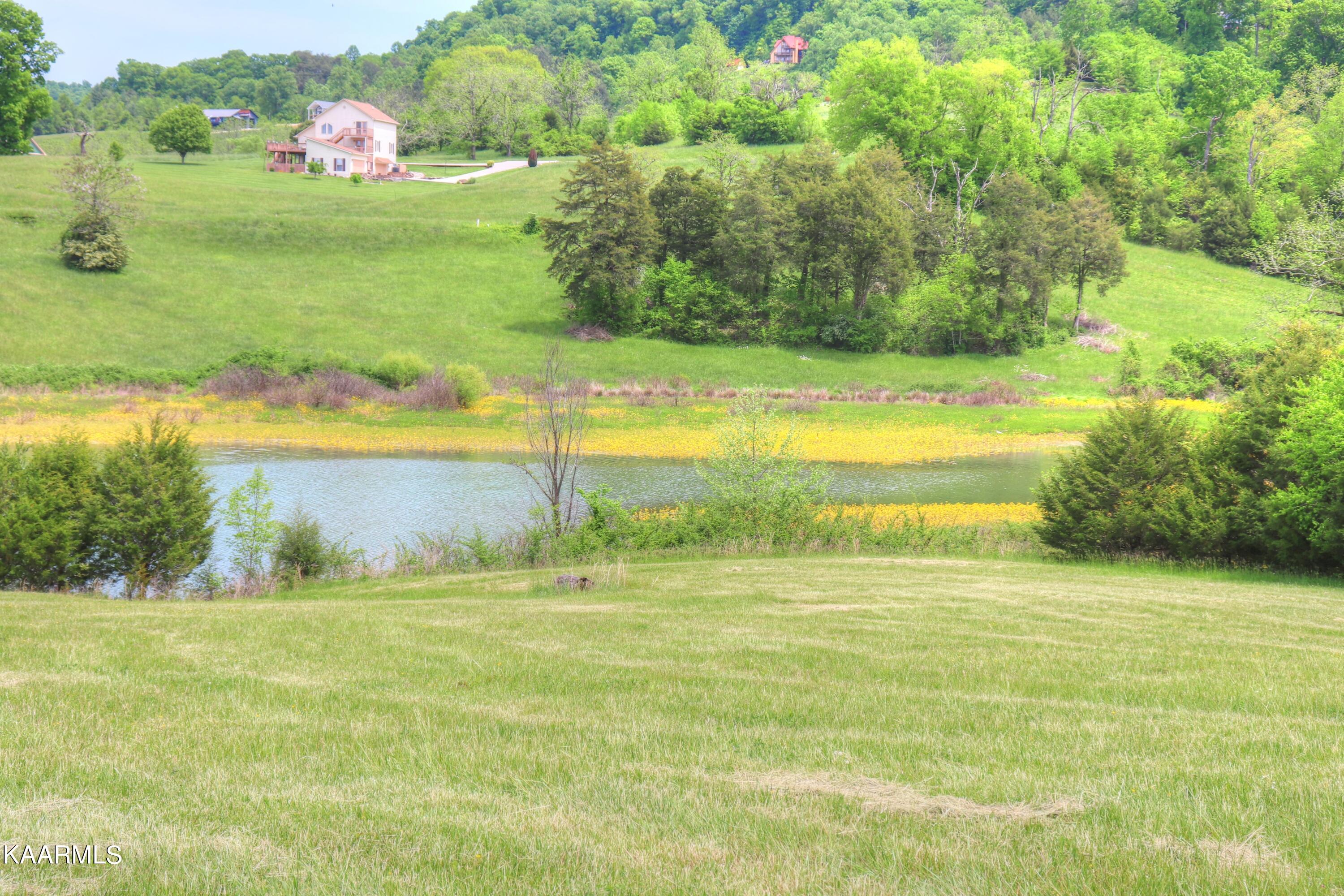 Lot 230 Ruth Circle Sharps Chapel, TN 37866 - Photo 9 of 39 Lot 230 Ruth Circle