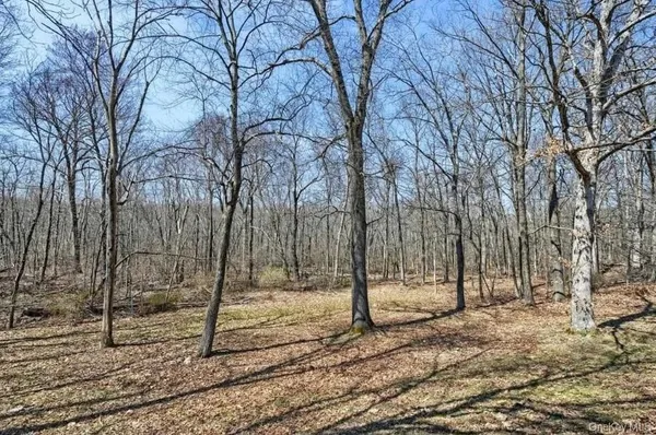 a view of a park with trees