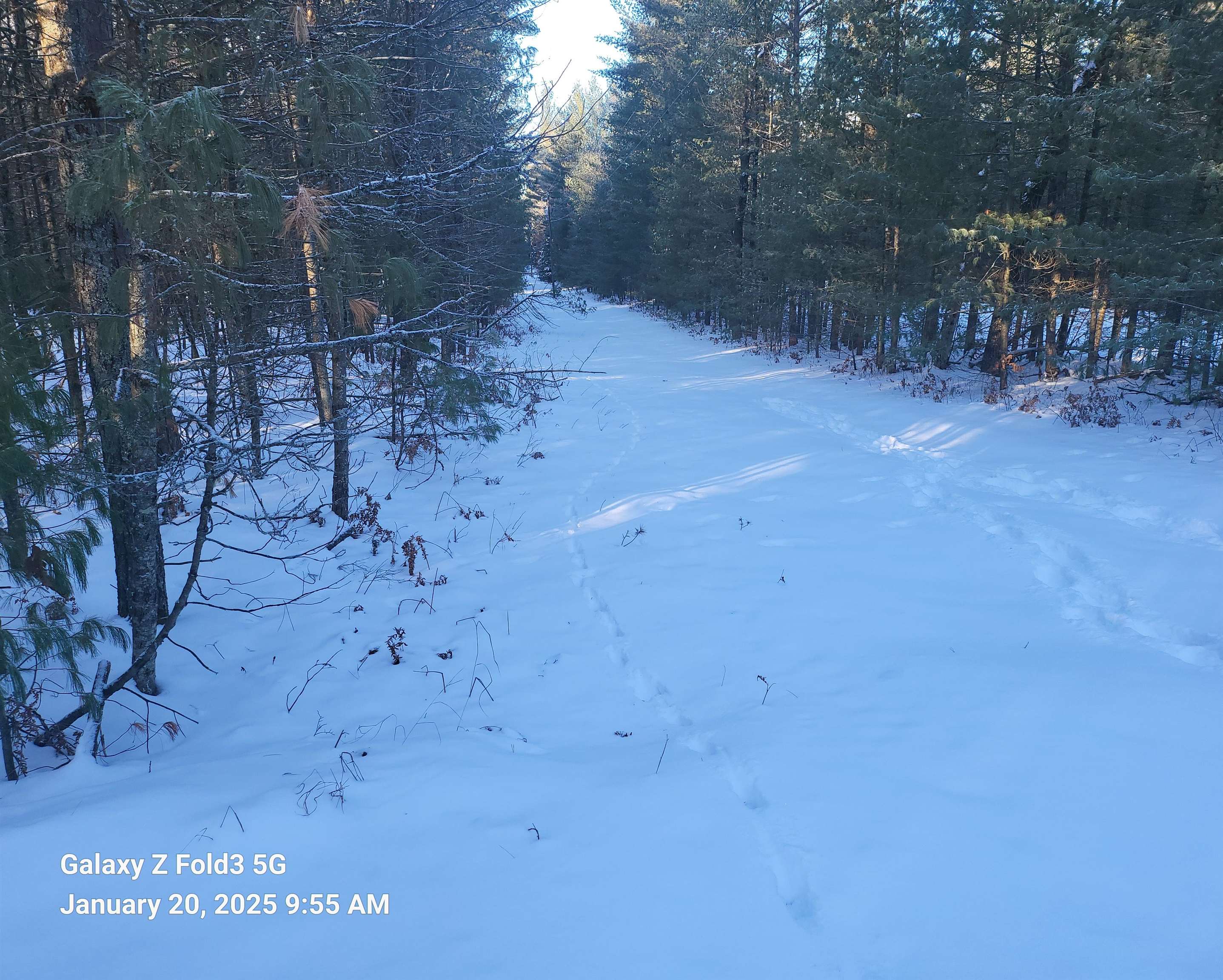 144 East E Road Roscommon, MI 48653 - Photo 2 of 5
