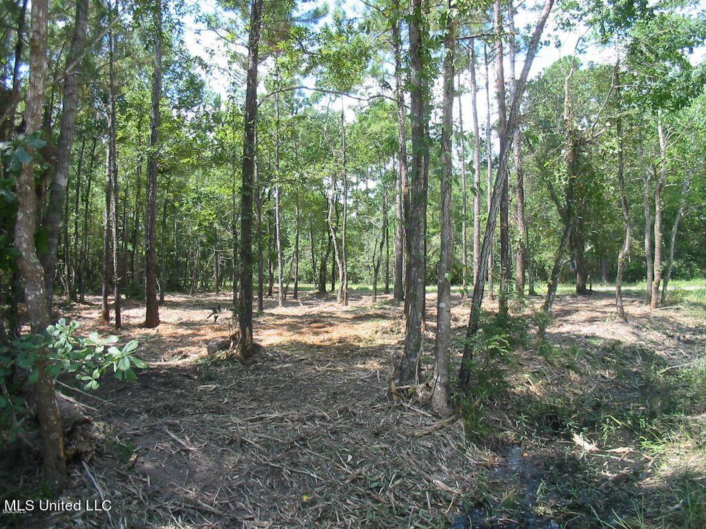 12th Street Bay St. Louis, MS 39520 - Photo 2 of 13 12-2