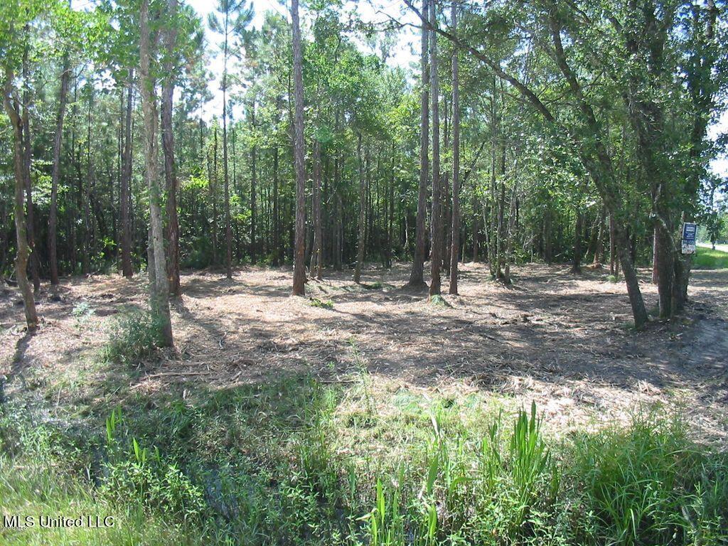 12th Street Bay St. Louis, MS 39520 - Photo 3 of 13 12-3