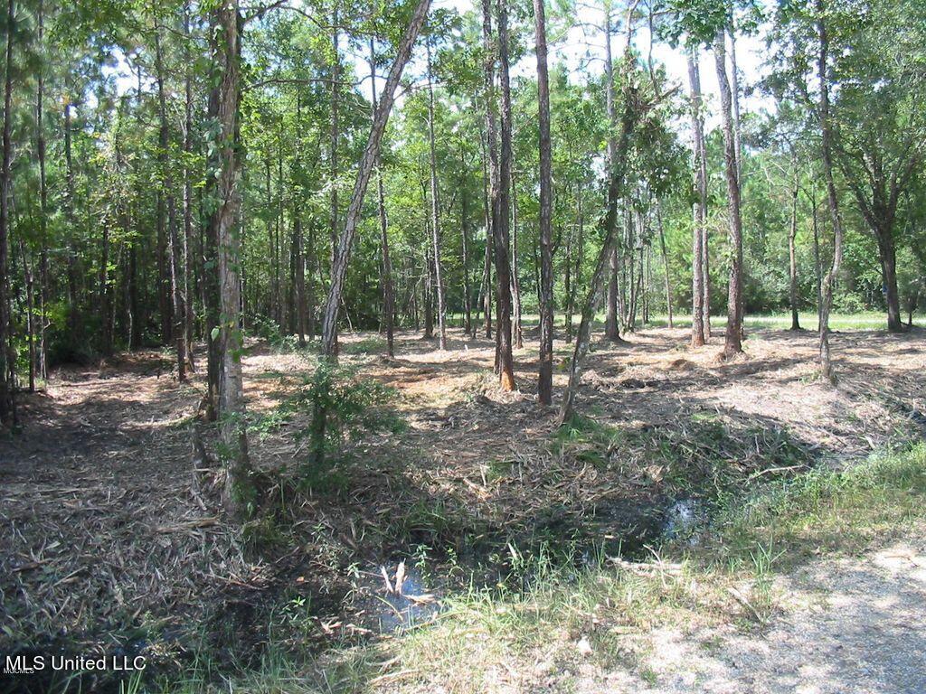 12th Street Bay St. Louis, MS 39520 - Photo 4 of 13 12-4