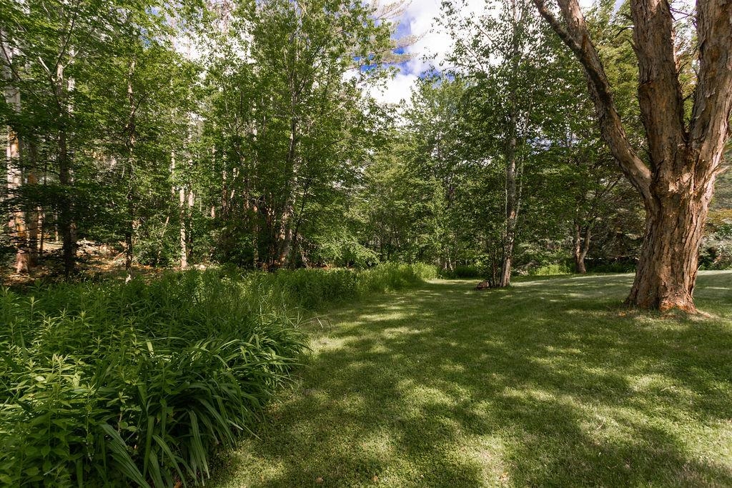 497 Goboro Road Epsom, NH 03234 - Photo 32 of 40