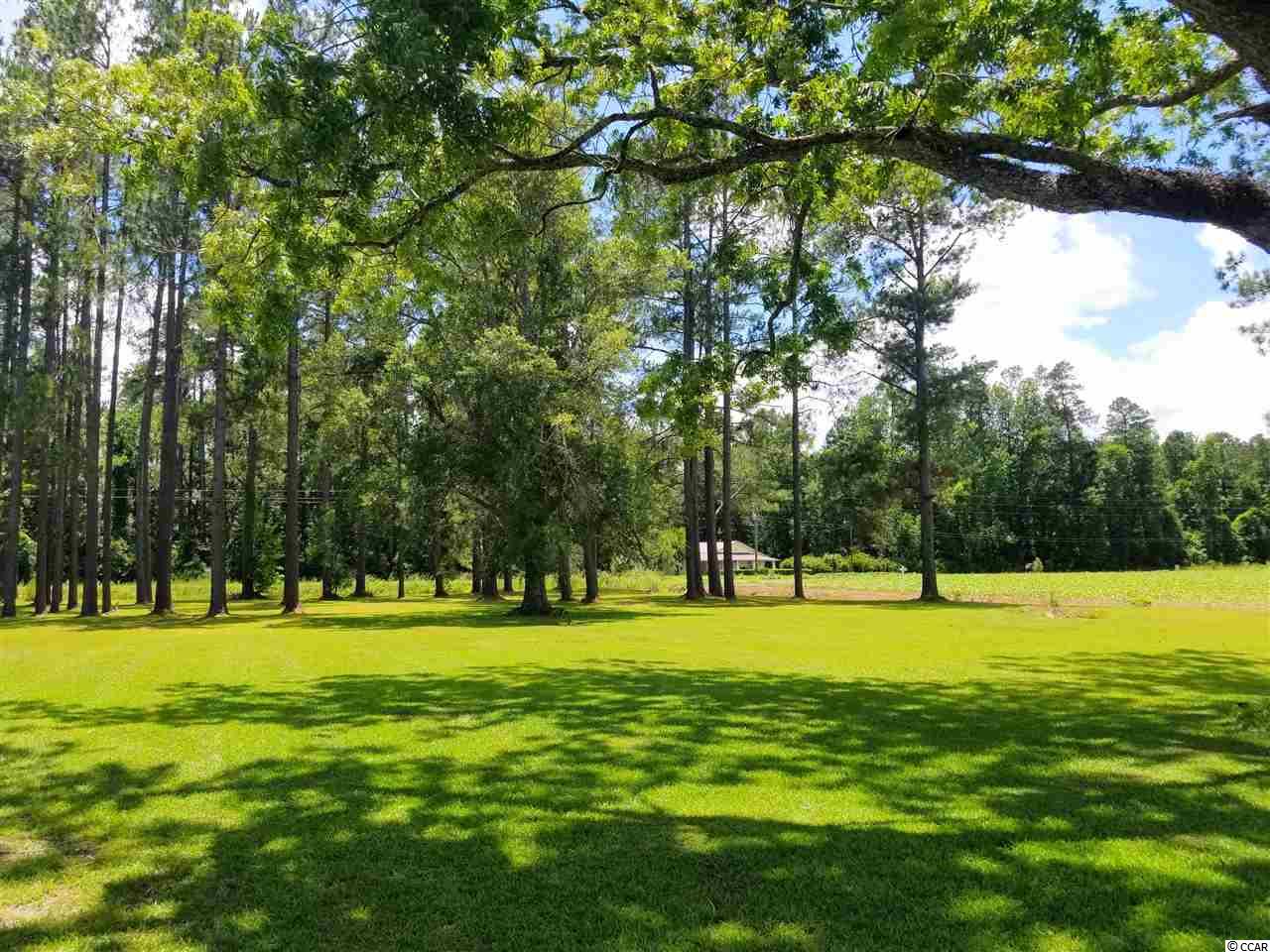 6930 Highway 9 Nichols, SC 29581 - Photo 21 of 24 Gallery Image 21