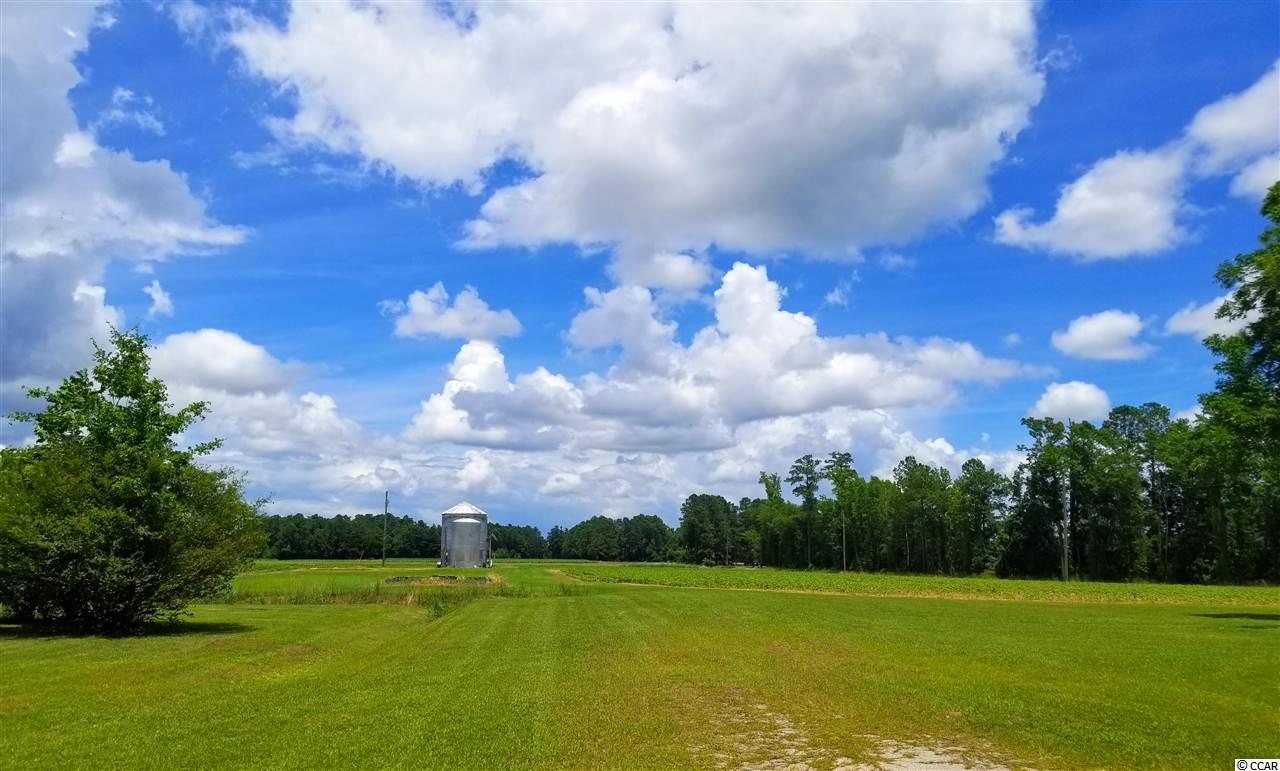 6930 Highway 9 Nichols, SC 29581 - Photo 22 of 24 Gallery Image 22