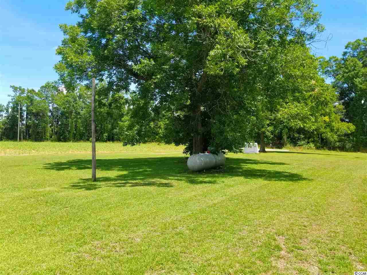 6930 Highway 9 Nichols, SC 29581 - Photo 23 of 24 Gallery Image 23
