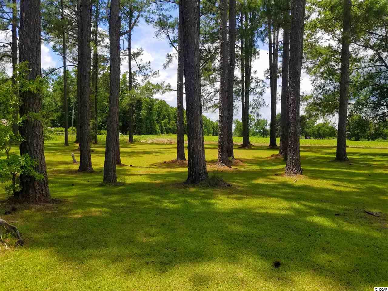6930 Highway 9 Nichols, SC 29581 - Photo 24 of 24 Gallery Image 24