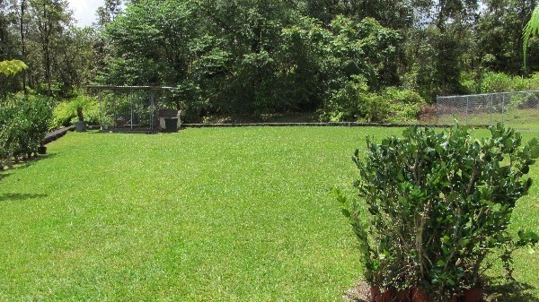 2073 Uhaloa Road Hilo, HI 96720 - Photo 2 of 8 Gallery Image 2