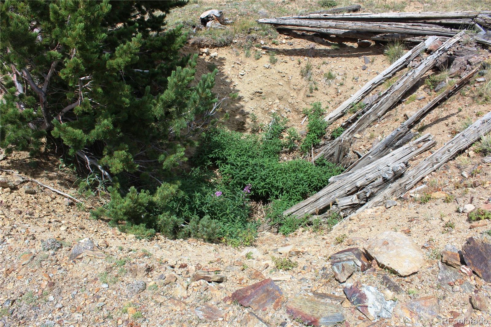0 Kingston Peak Road Idaho Springs, CO 80452 - Photo 13 of 38 a view of a backyard with plants