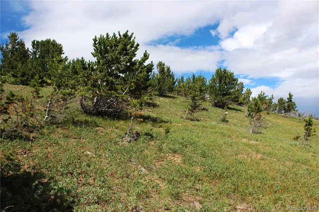 a view of a city with lush green forest