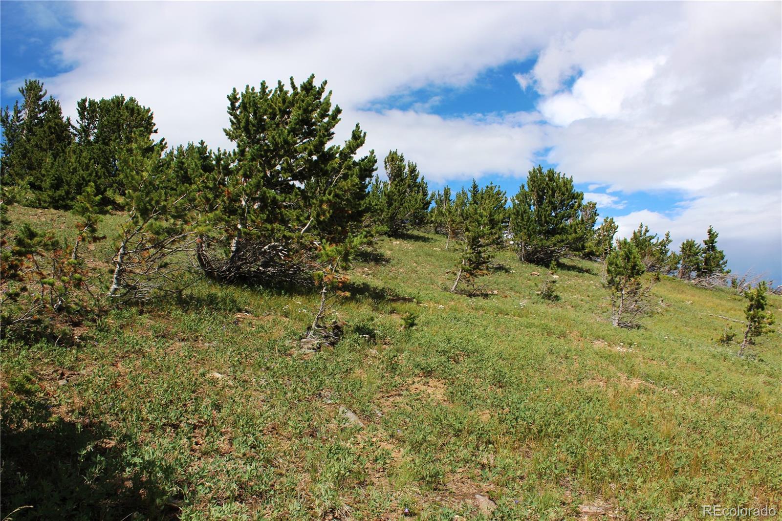 0 Kingston Peak Road Idaho Springs, CO 80452 - Photo 16 of 38 a view of a bunch of trees and bushes