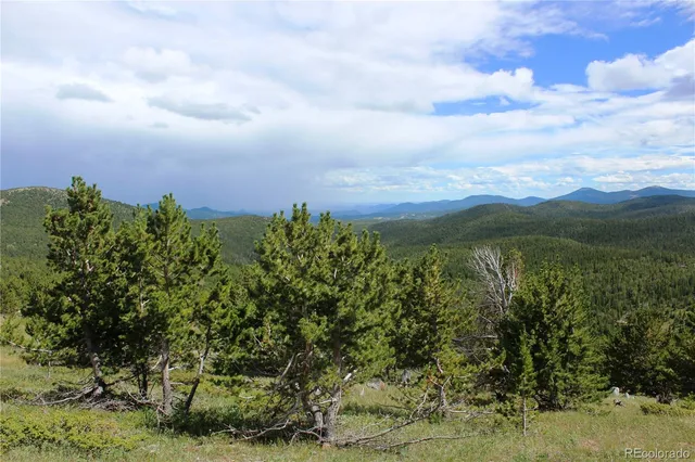 a view of a green field with lots of bushes