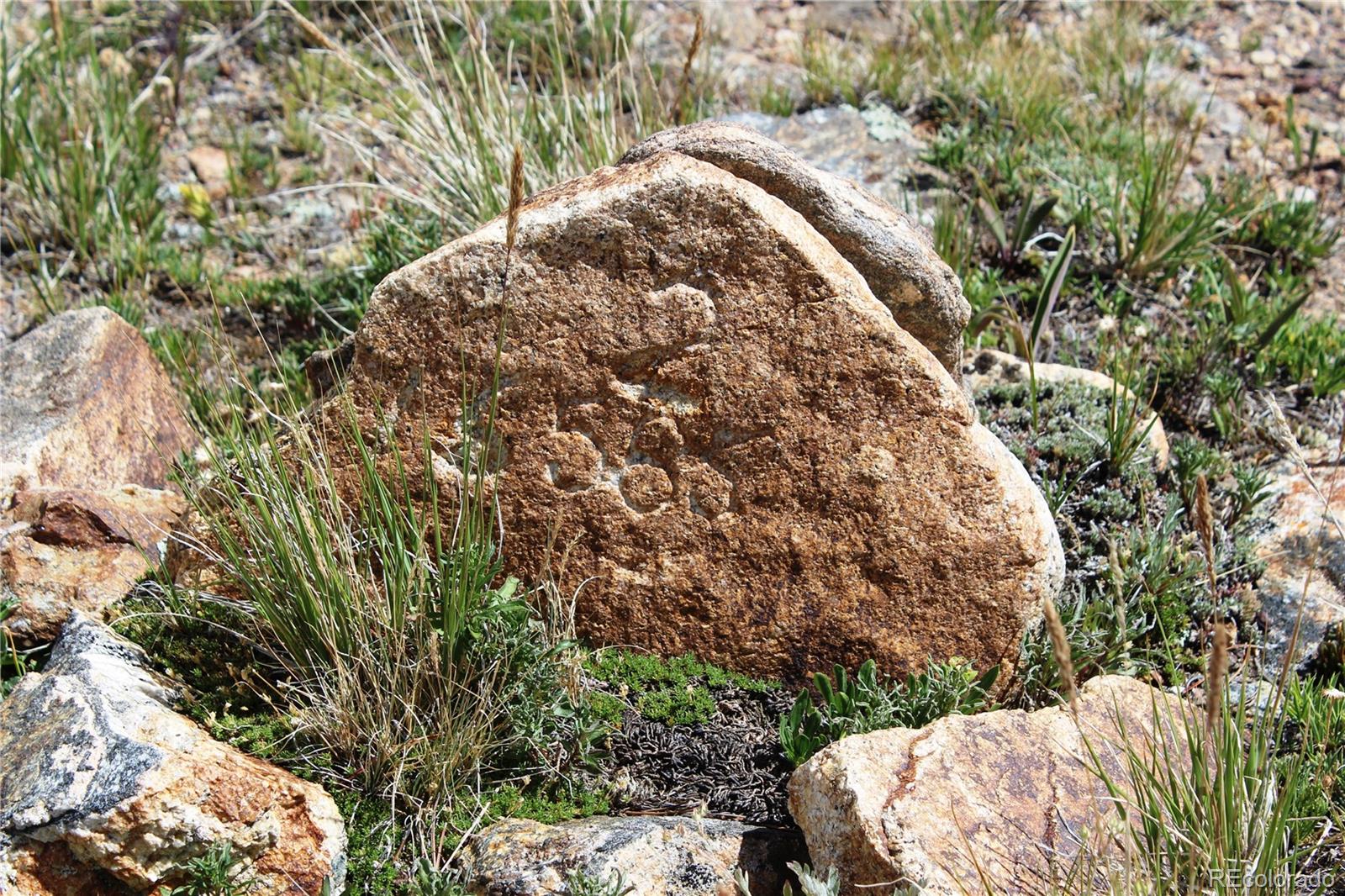 0 Kingston Peak Road Idaho Springs, CO 80452 - Photo 21 of 38 a view of a yard