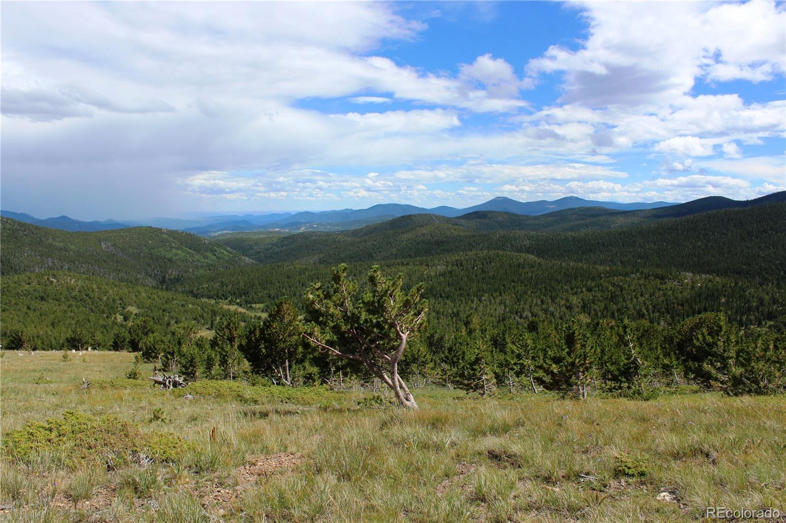 0 Kingston Peak Road Idaho Springs, CO 80452 - Photo 22 of 38