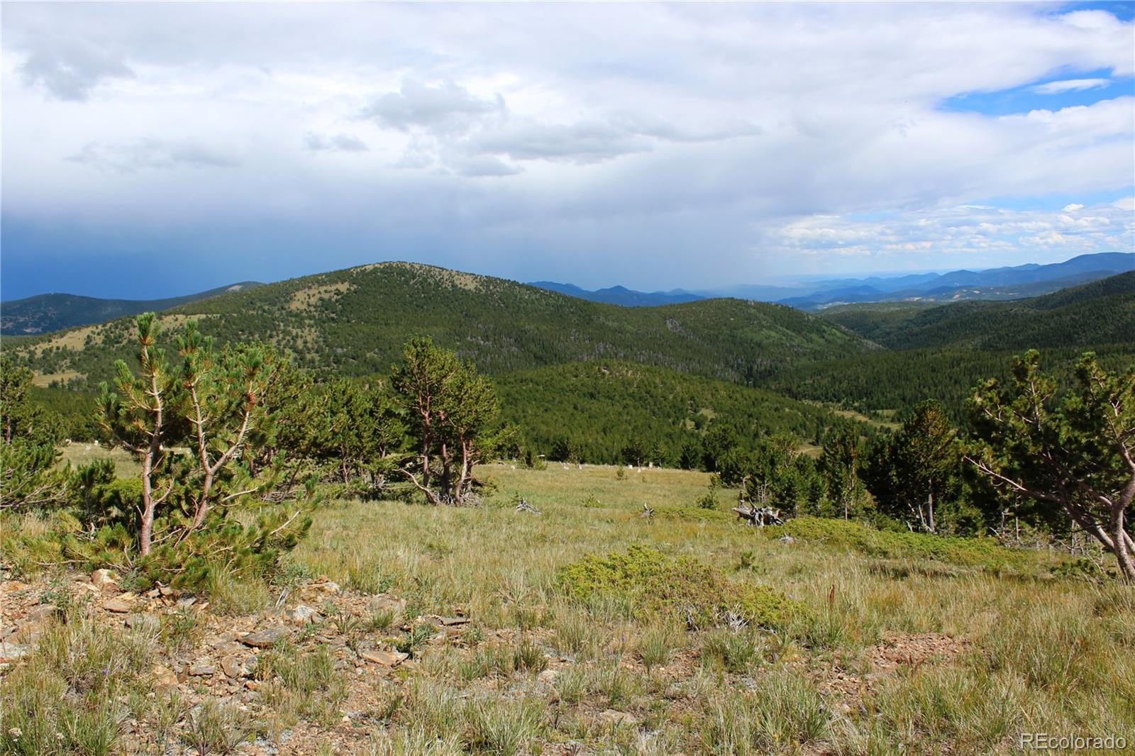 0 Kingston Peak Road Idaho Springs, CO 80452 - Photo 23 of 38