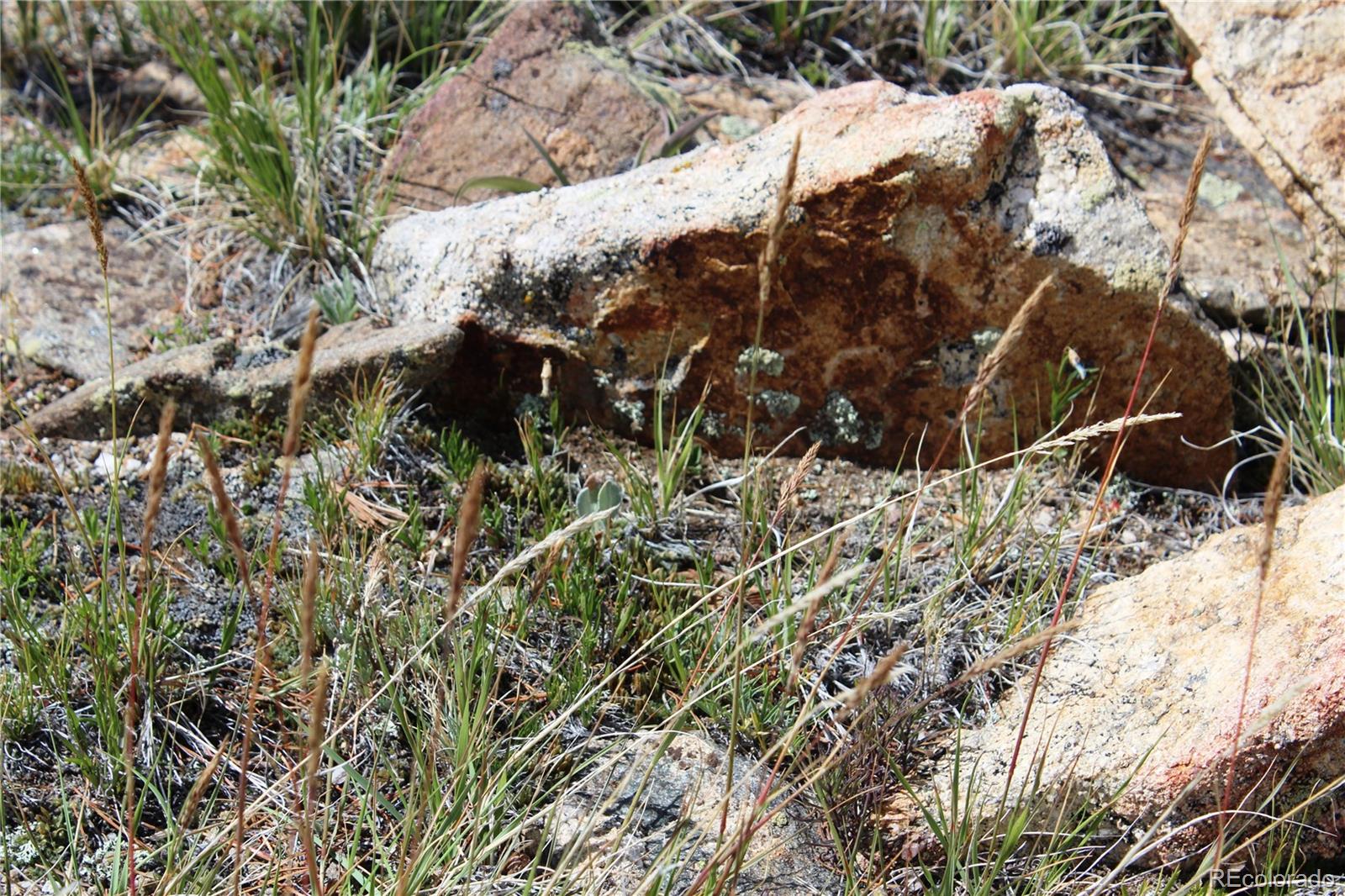 0 Kingston Peak Road Idaho Springs, CO 80452 - Photo 25 of 38 a view of a backyard of the house