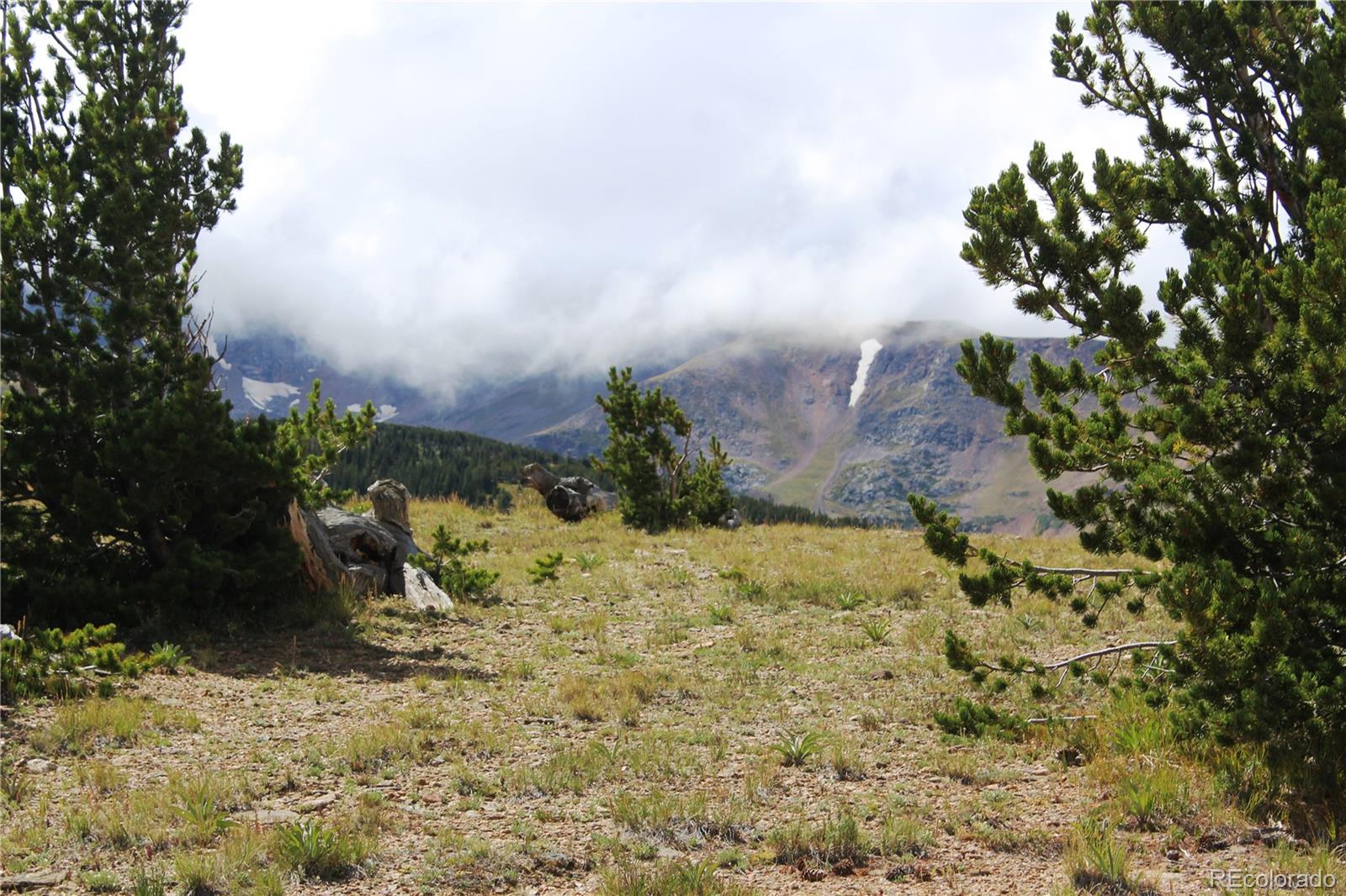 0 Kingston Peak Road Idaho Springs, CO 80452 - Photo 26 of 38 a view of a yard