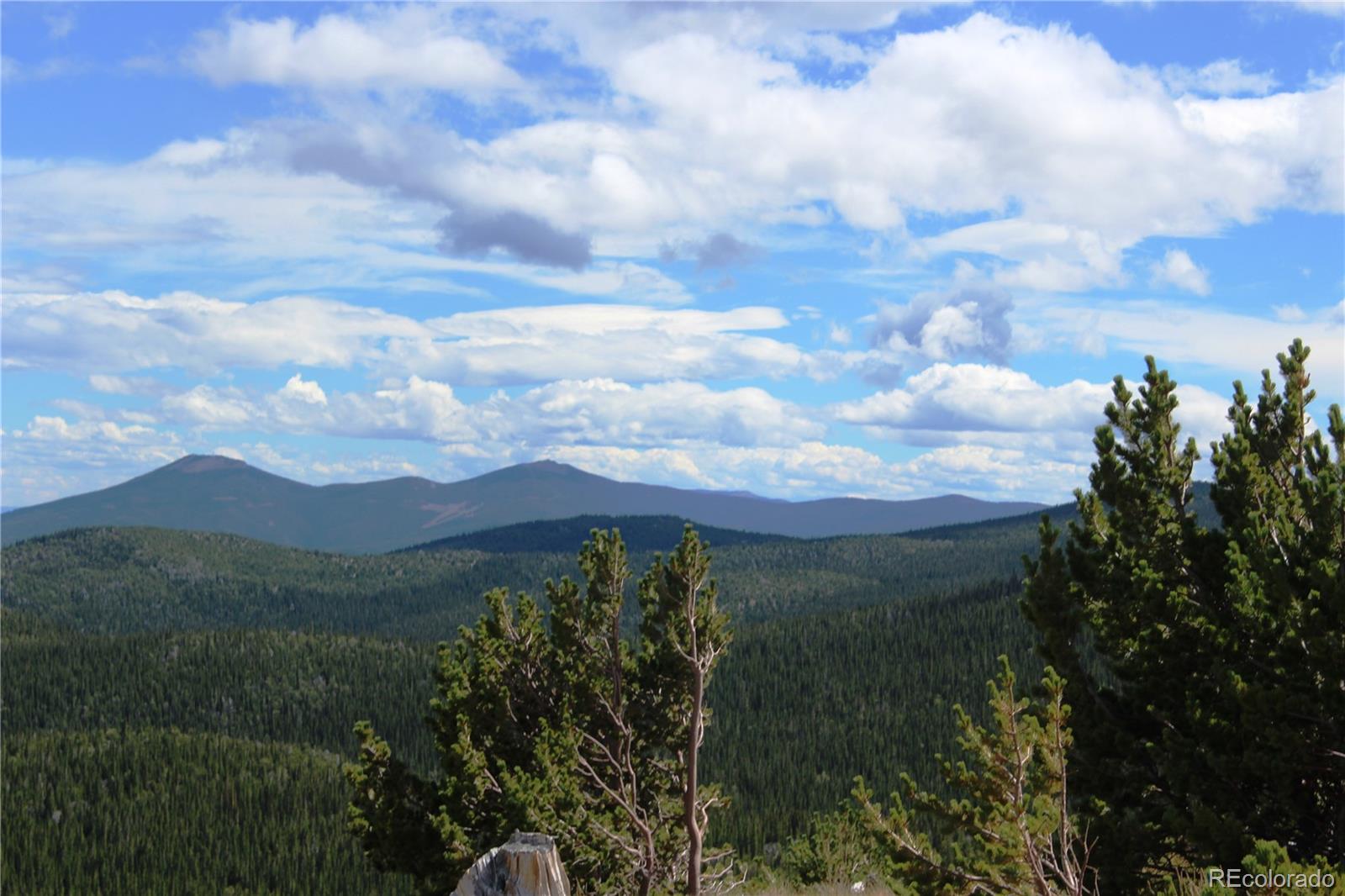 0 Kingston Peak Road Idaho Springs, CO 80452 - Photo 28 of 38 a view of a lake in middle of forest