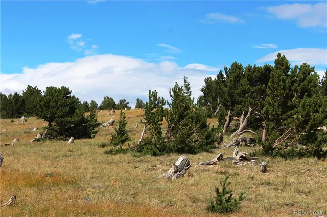 a view of a big yard with a house in the background