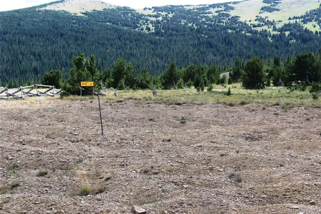 a view of a dry yard with a mountain