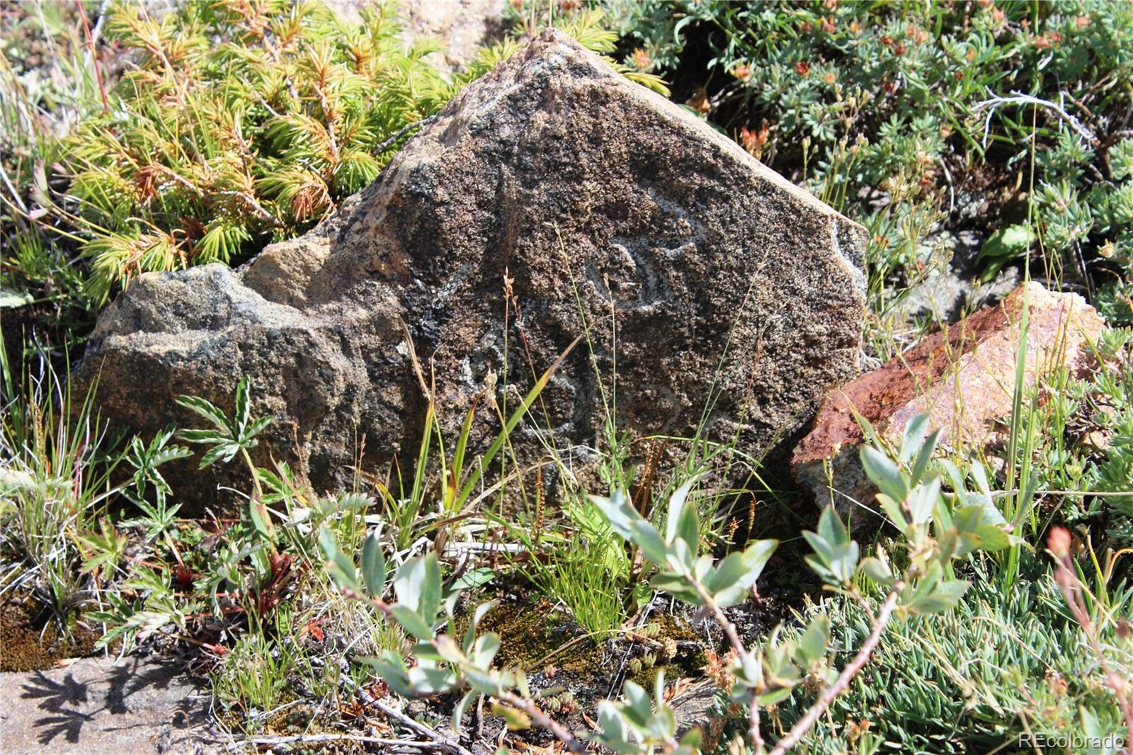 0 Kingston Peak Road Idaho Springs, CO 80452 - Photo 35 of 38