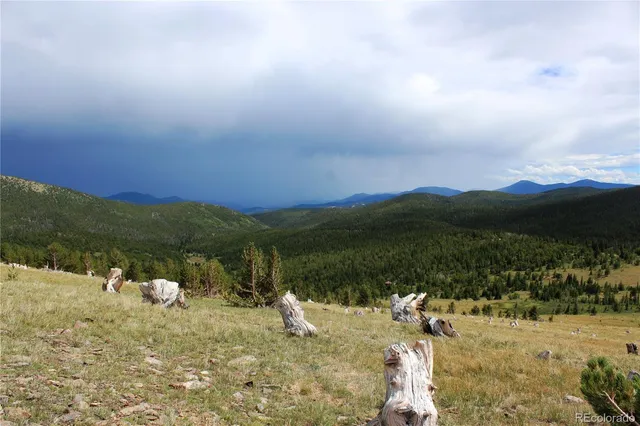 a view of a lake with a mountain