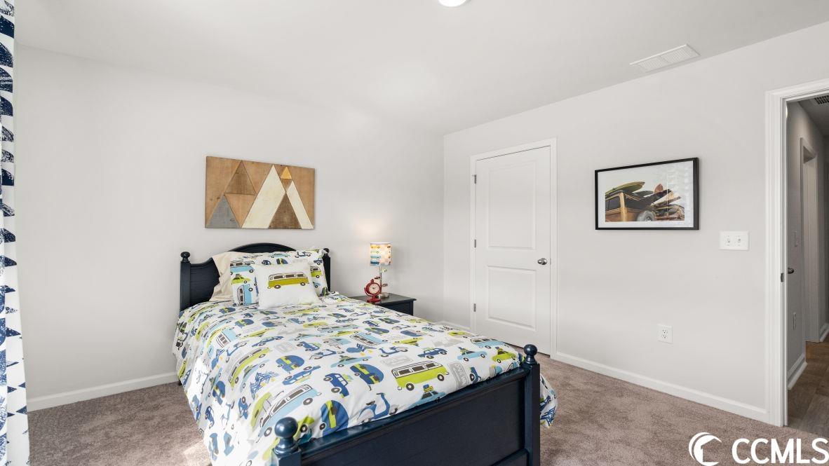 184 Seasons Trace Loop Longs, SC 29568 - Photo 9 of 34