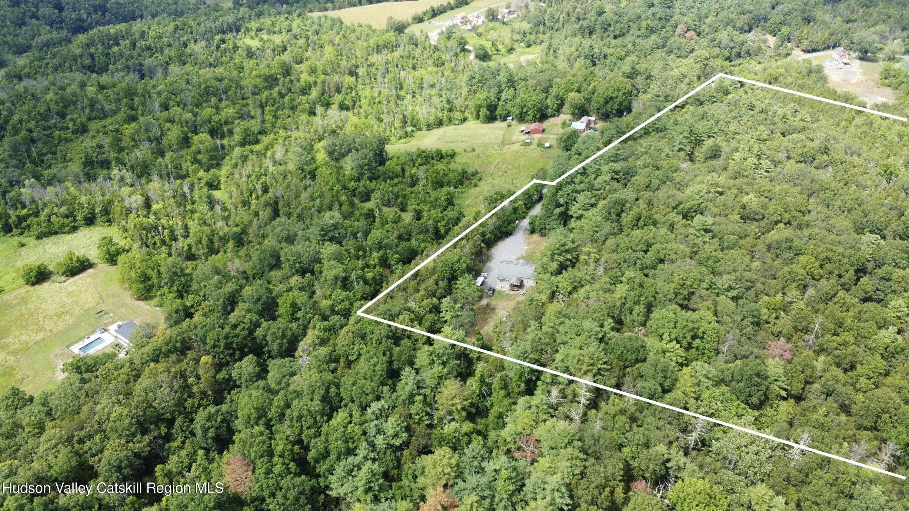 86 Paul Horn Road Catskill, NY 12414 - Photo 34 of 41 ariel with boundary line