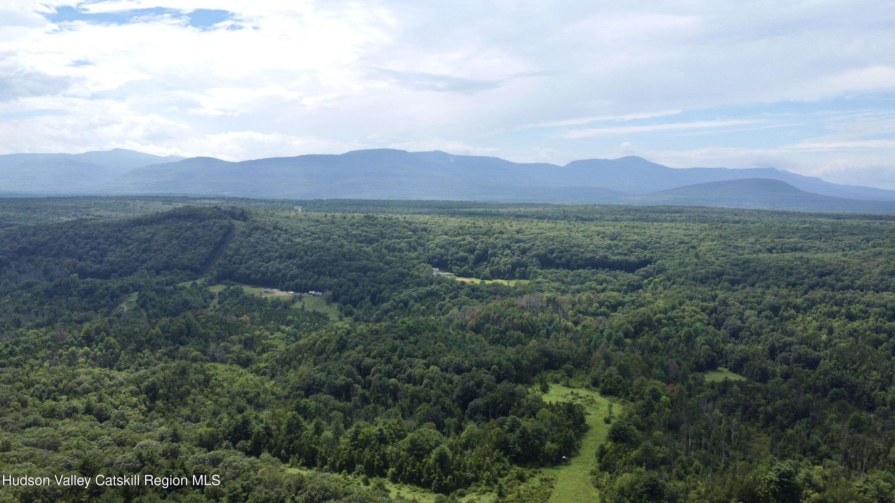 86 Paul Horn Road Catskill, NY 12414 - Photo 37 of 41 28