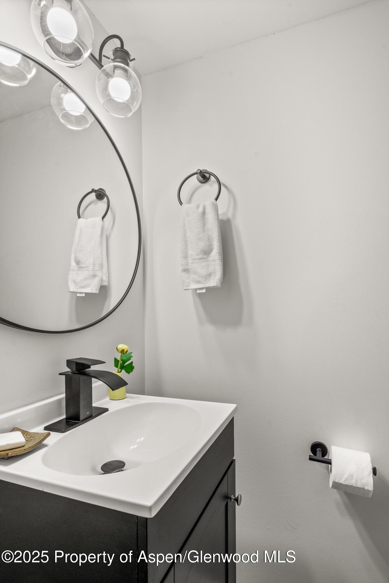 331 Holland Hills Road, Unit 5 Basalt, CO 81621 - Photo 14 of 19 a bathroom with a sink and a mirror