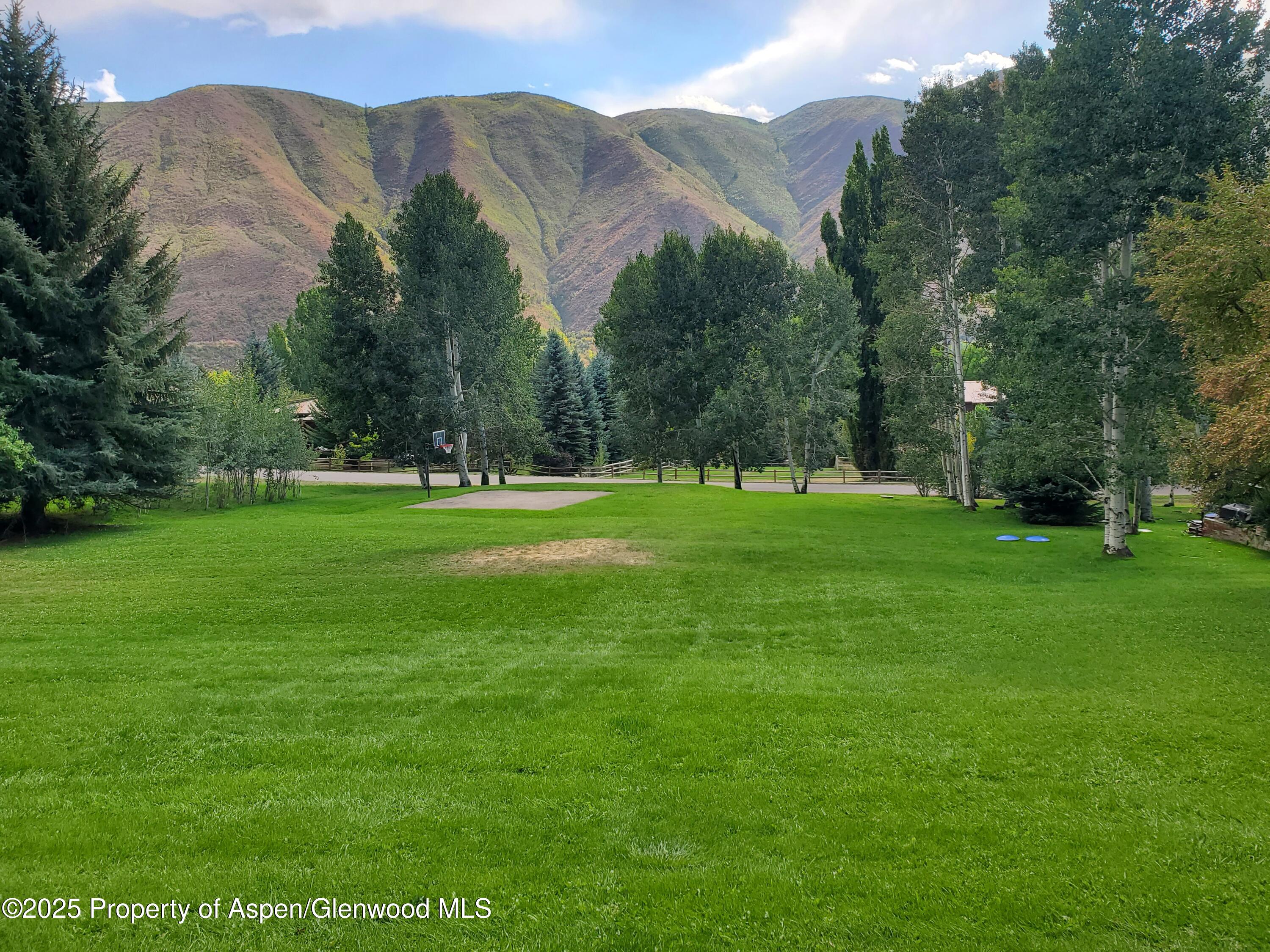 331 Holland Hills Road, Unit 5 Basalt, CO 81621 - Photo 3 of 19 a view of a green field with trees in the background