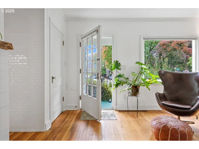 a view interior of a house with wooden floor and a potted plant