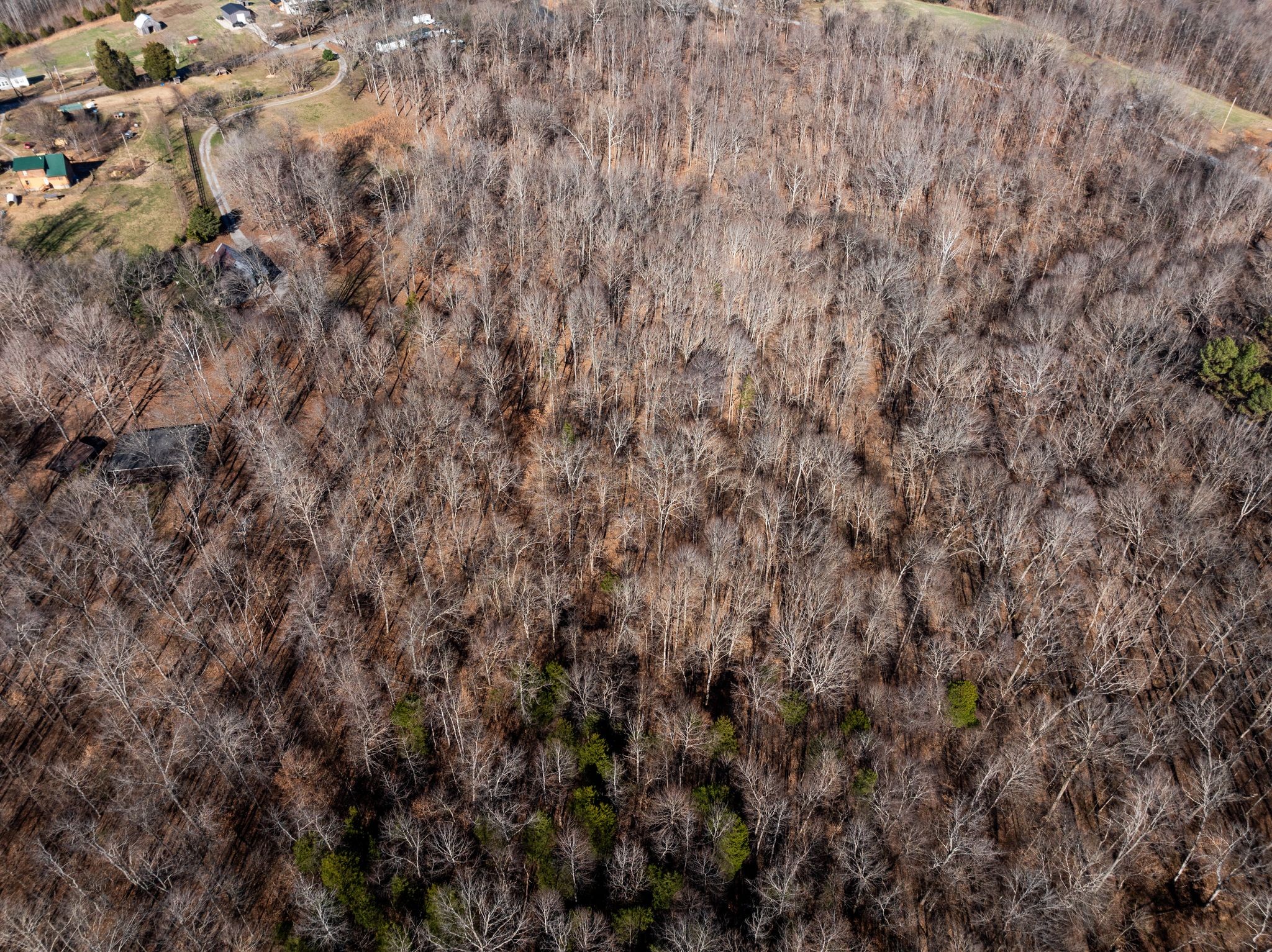 1651 Neptune Road Ashland City, TN 37015 - Photo 40 of 44