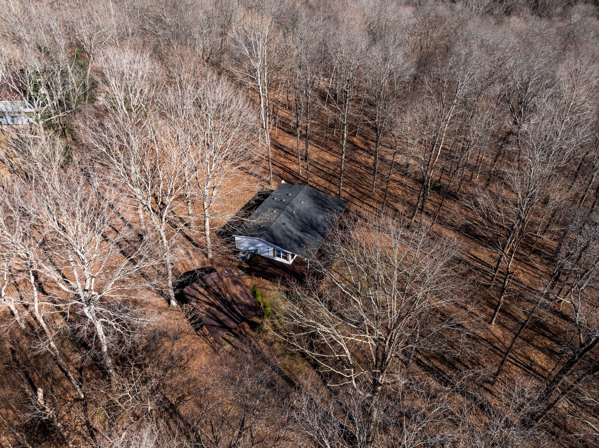 1651 Neptune Road Ashland City, TN 37015 - Photo 42 of 44