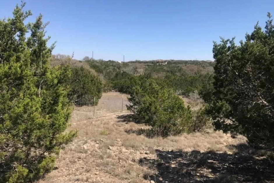 517 Left Fork Place Spring Branch, TX 78070 - Photo 3 of 12 a view of a dry yard with wooden fence