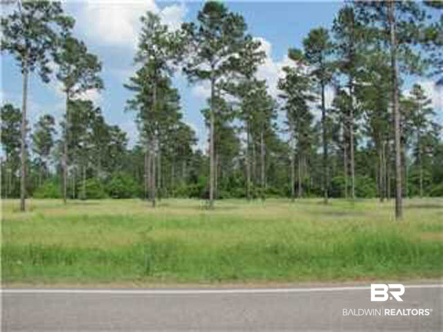 0 Wilmer Tanner Williams Road Wilmer, AL 36587 - Photo 2 of 4