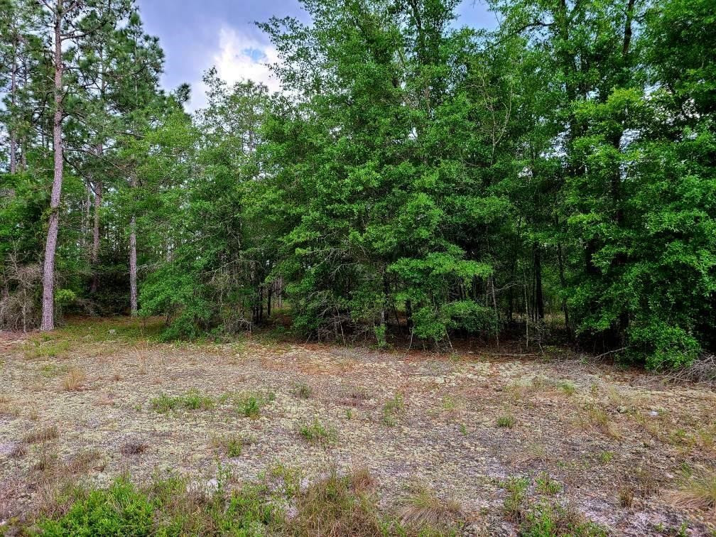 0 Scronce Road Harrells, NC 28444 - Photo 4 of 4 a view of an outdoor space with a lake view