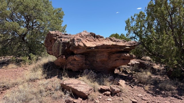B55 Ribera Nm 87565 Ribera, NM 87560 - Photo 4 of 27