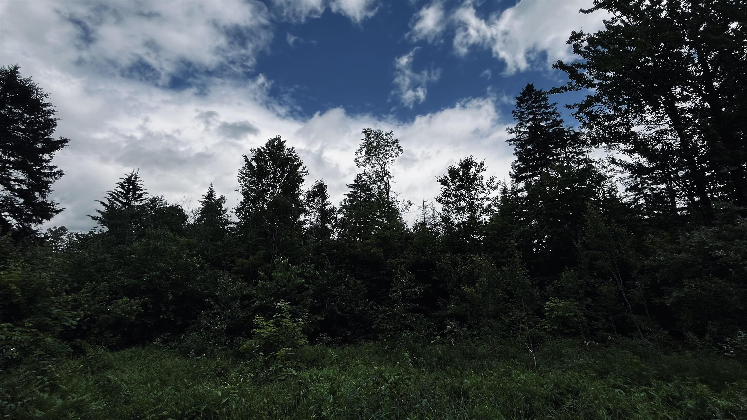 1606 Town Farm Road Sheffield, VT 05851 - Photo 50 of 55