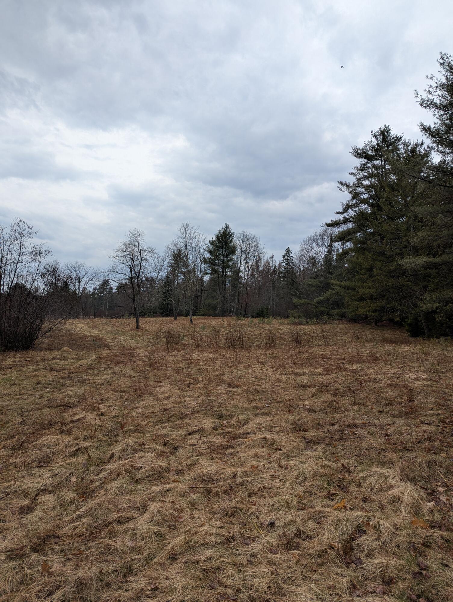 486 Johnson Mill Road Orrington, ME 04474 - Photo 11 of 20 PXL_20250419_121643326