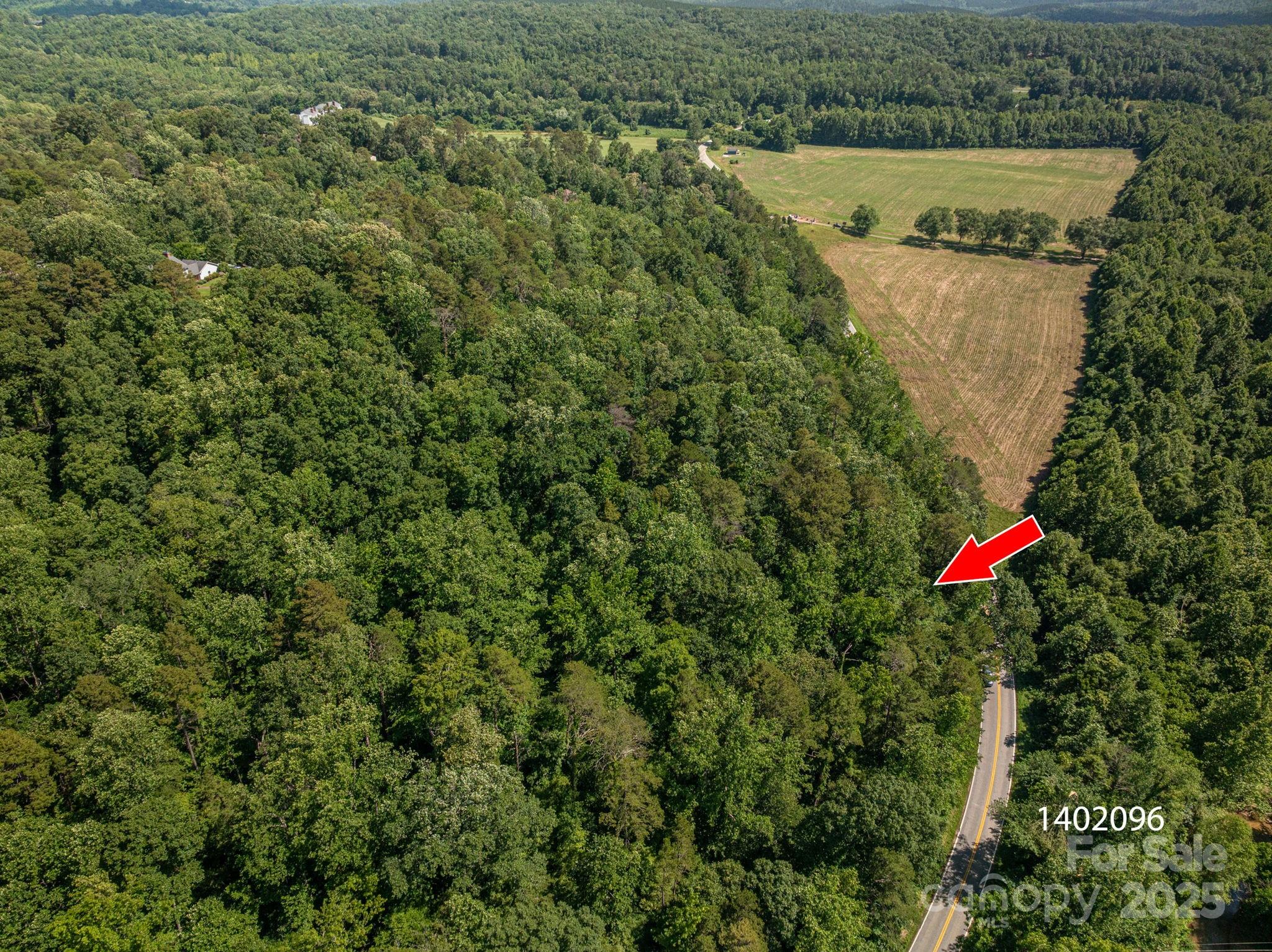 Lot 162 Coxe Road Rutherfordton, NC 28139 - Photo 3 of 16 a view of a small yard